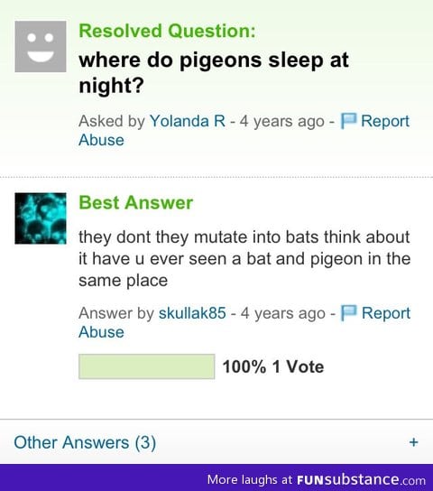 Pigeons don't sleep at night