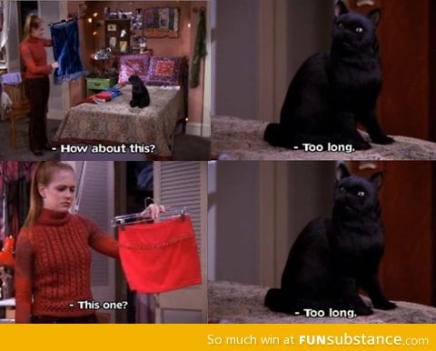 Salem you sly cat