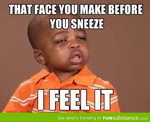Before sneezing