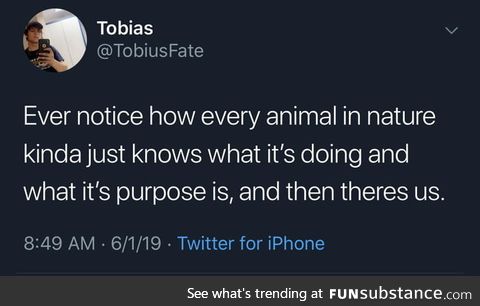 Everything legit just knows