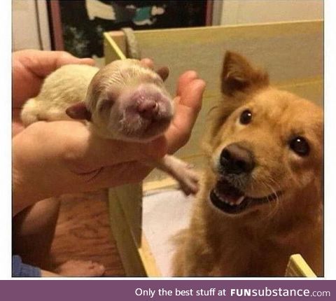 A very proud new father!!
