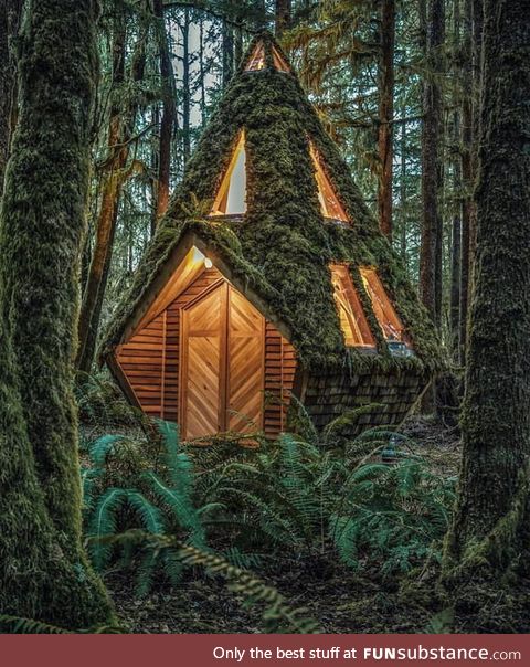This cabin in the woods looks great