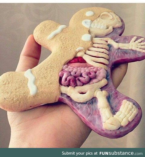 Anatomy of The Gingerbread Man