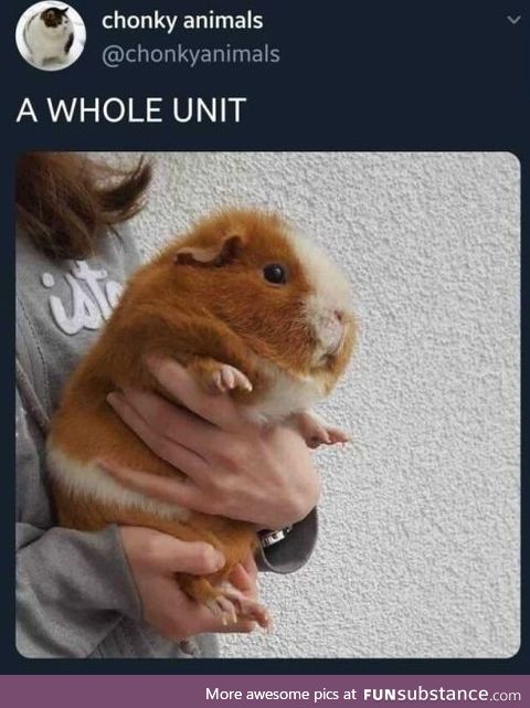 Chonk