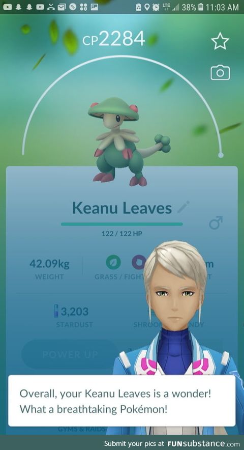 Keanu Leaves is a wonder!