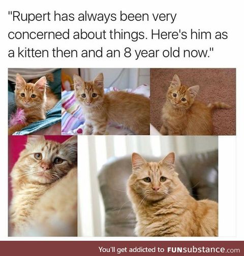 What's wrong, Rupert?