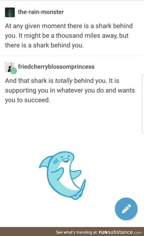 Thank you, smol shark