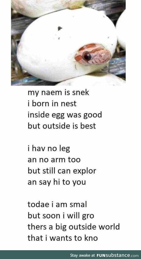 This is a very coot snek
