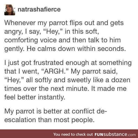 Wholesome parrot!!!