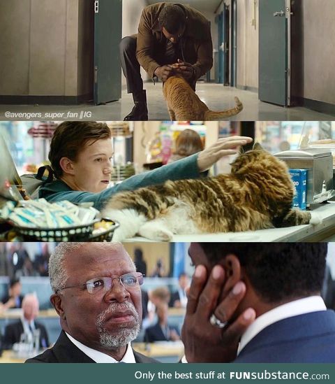 Cat pets in Marvel movies