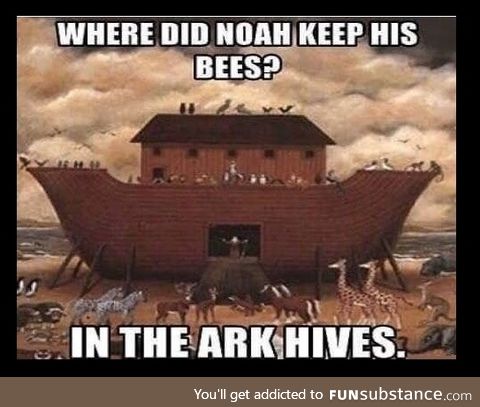 Oh Noah