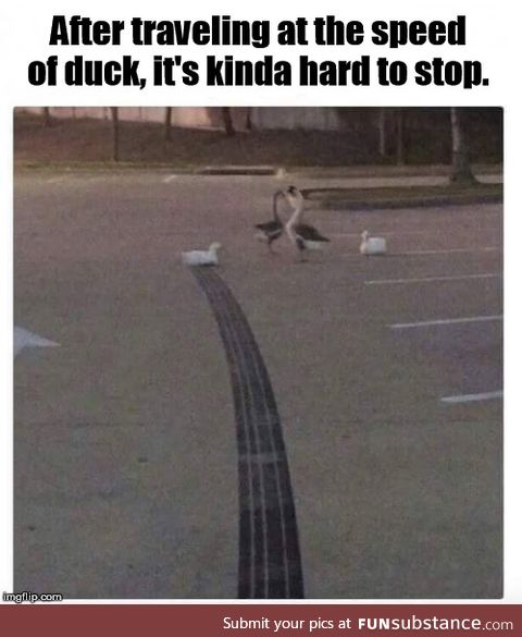 Duck speed, Mr. Sulu