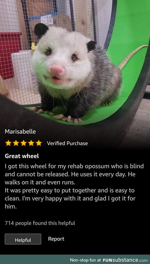 Opossum tested, Amazon approved