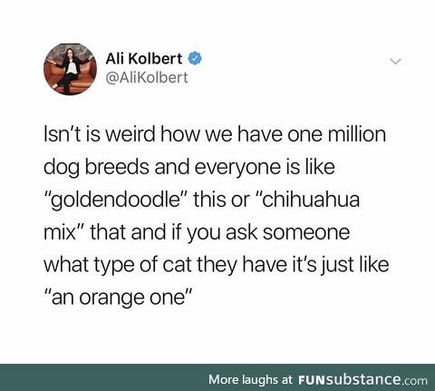 I have an orange one too