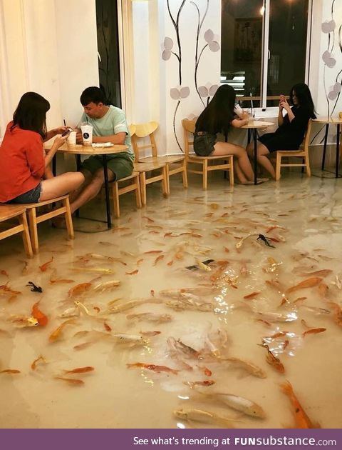 Fish Cafe in Vietnam