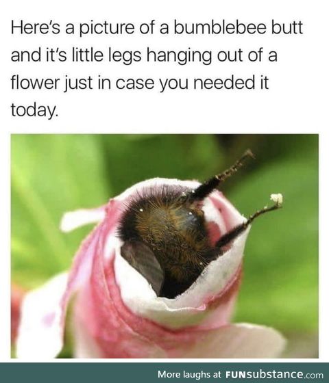Let me get that last drop of nectar