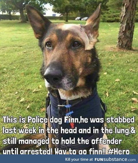 This poor baby :( he definitely is a good boy:)