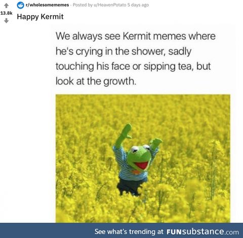 Bout time Kermit stopped sipping tea in the shower