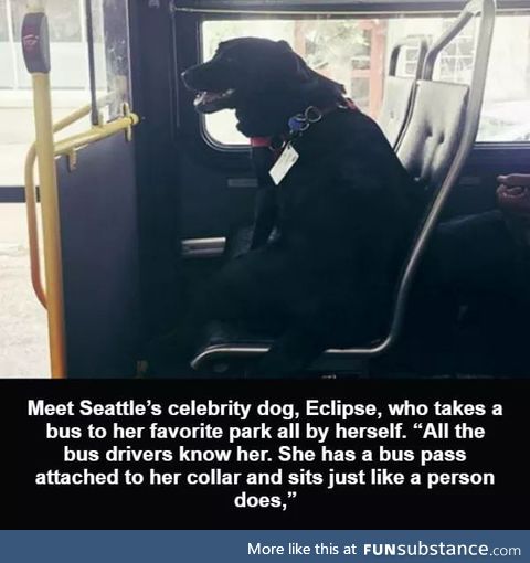 Wholesome good girl