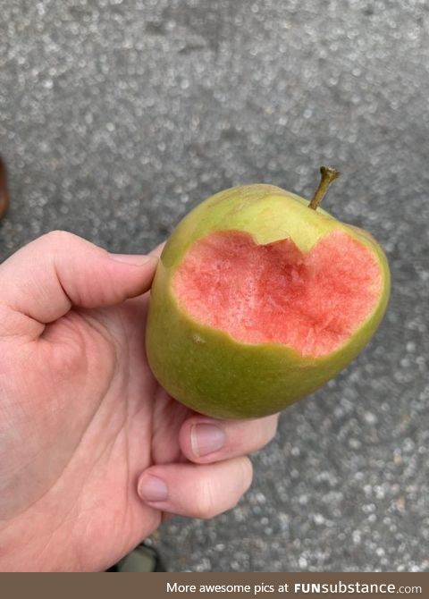 Went Apple picking, picked this Apple took a bite and it was pink like raw beef!