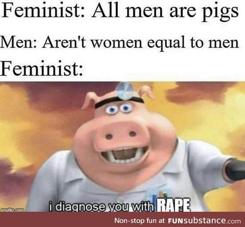 Feminists in a nutshell