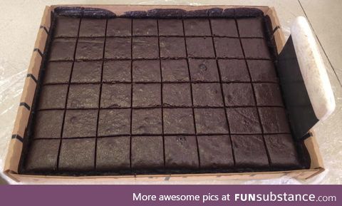 I've peaked, perfectly cut brownies