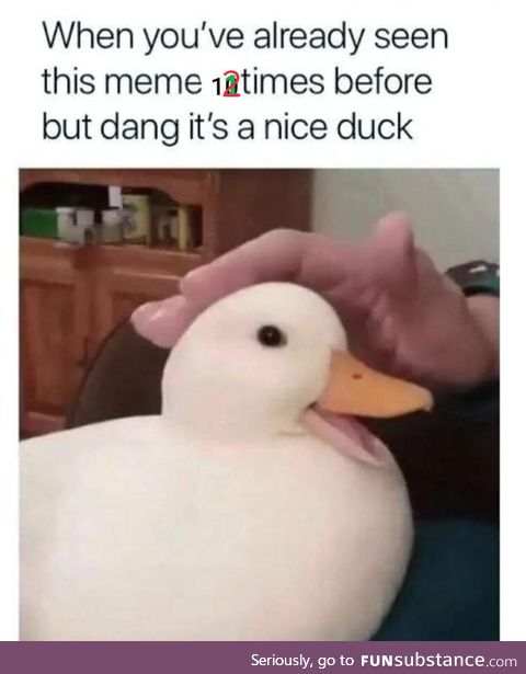 It's a dang nice duck