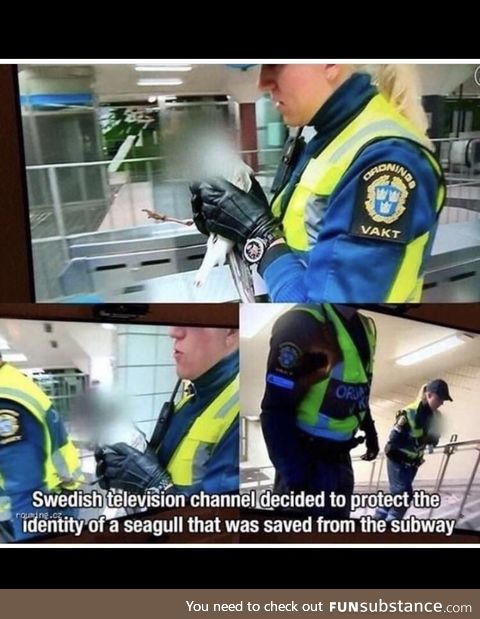 Swedish police doing gods work