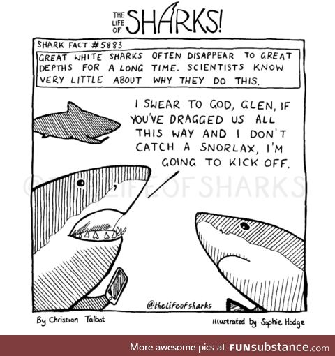 Sharks: The depths