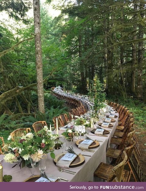 Dinner in the woods