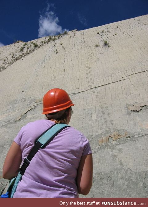 Tectonic activity pushed a shoreline vertical, creating a wall covered in dinosaur