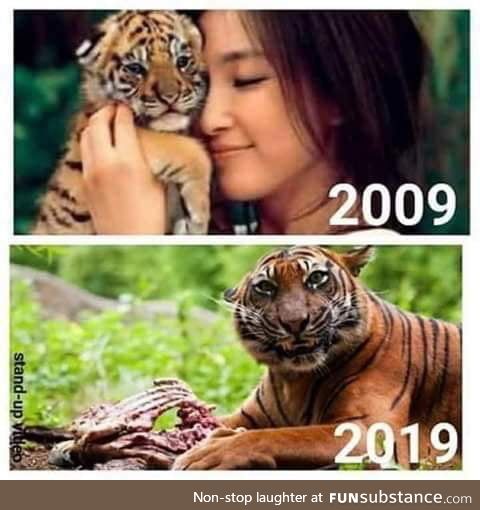 This ad was meant to depict how much the tiger had grown in 10 years. Instead, it looks