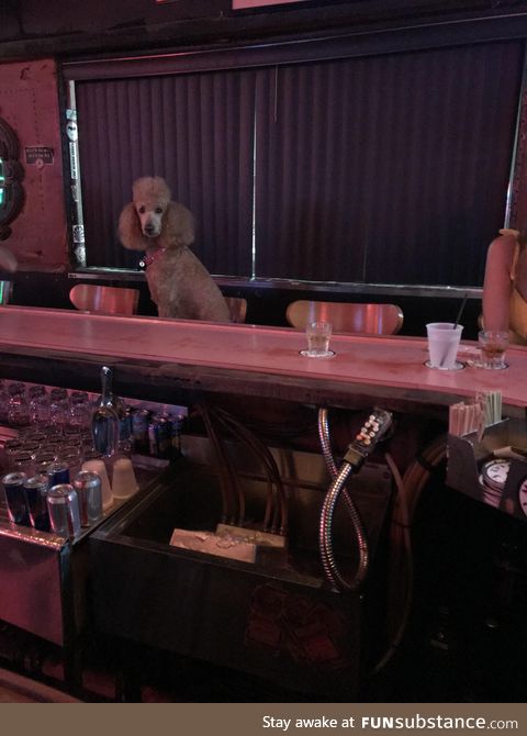 She’s been staring at me from across the bar for an hour now. Should I say hi?