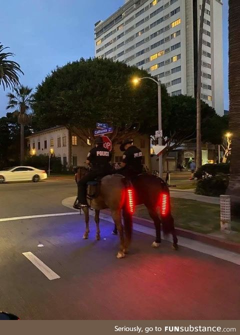 Horses with break lights