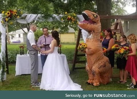 Maid of honor wears T-Rex costume after being told she could wear 'anything'