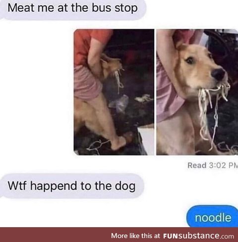 Noodle