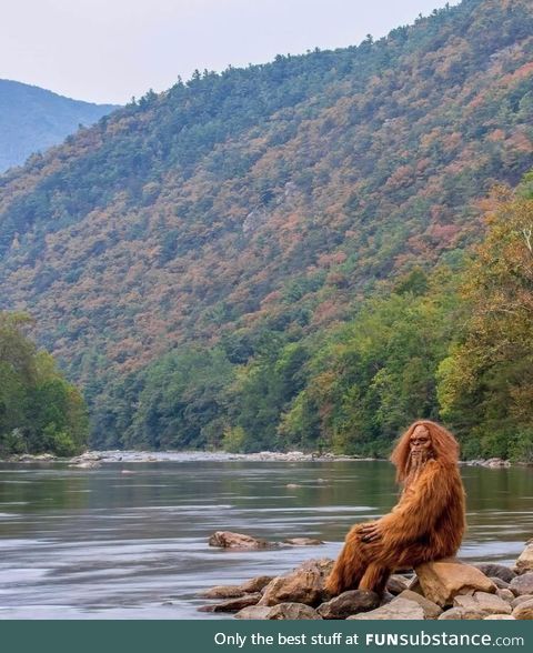 A friend of a friend sent me this pic of himself enjoying the fall colors!