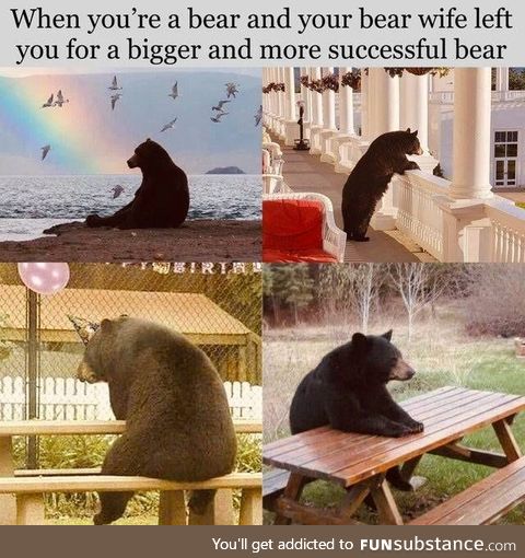 *sad bear noises*