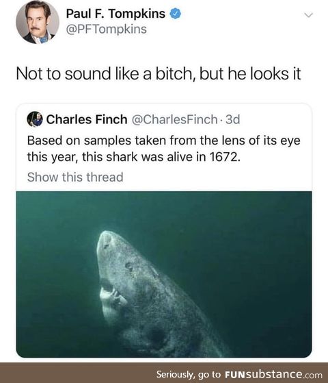 Old ass shark