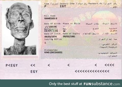 Ramesses II was issued a passport in order to be able to travel to France in 1974