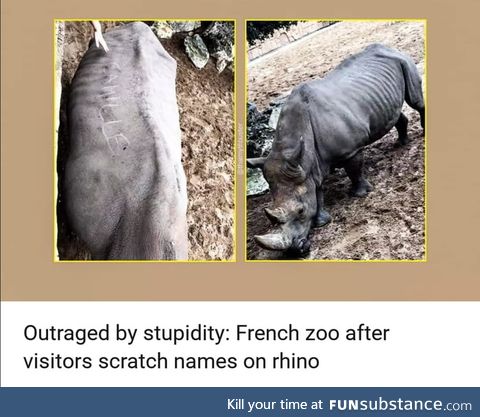 Scratching your name on a Rhinoceros