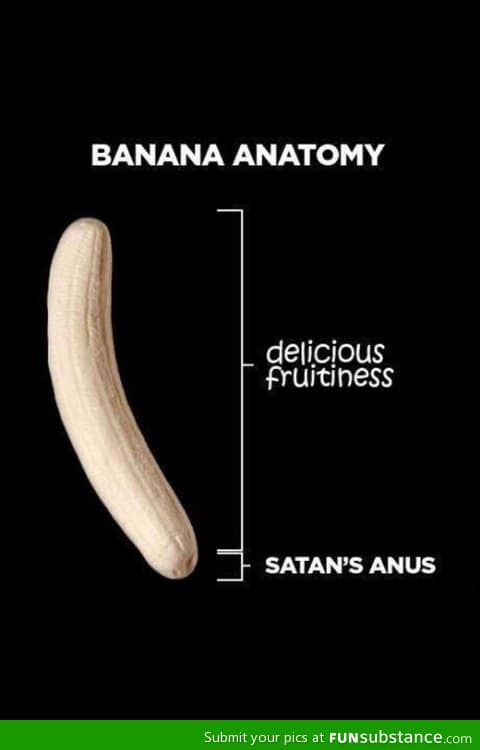 Anatomy Of A Banana