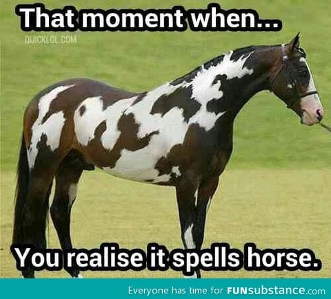 Special Horse