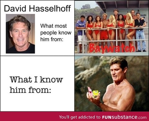 David hasselhoff