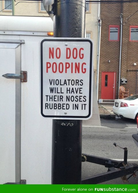 No dog pooping