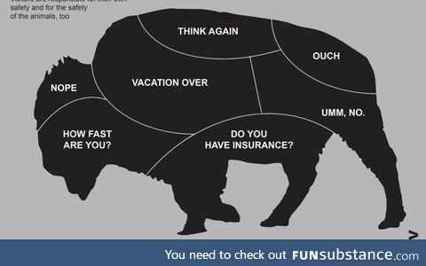 National park service bison petting guide
