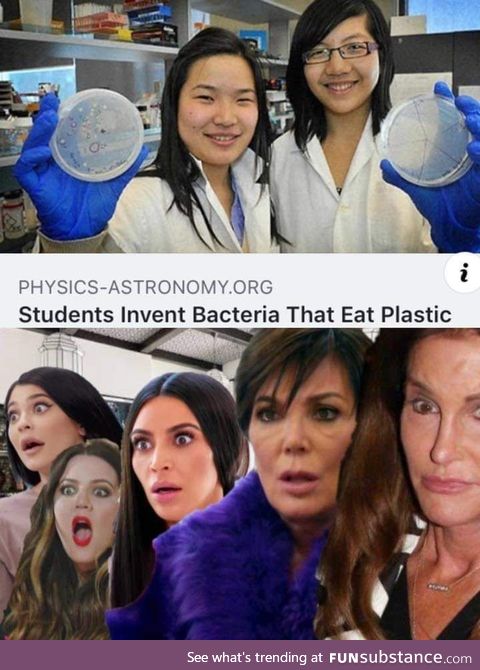 Students invent bacteria that eat plastic