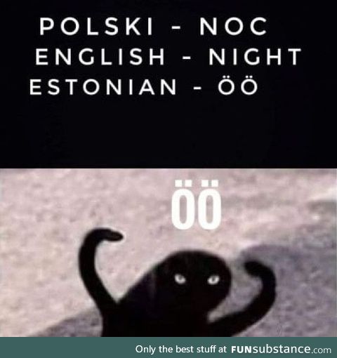 "Night" in Estonian