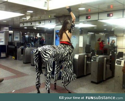 Who let the zebra out