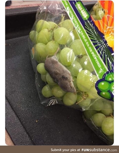 There’s ***ing grapes in my mouse bag
